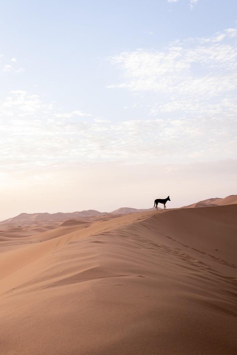 Morocco